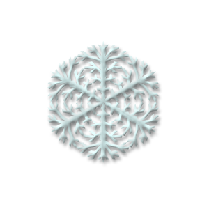 christmas snow flake six stampette avatar image