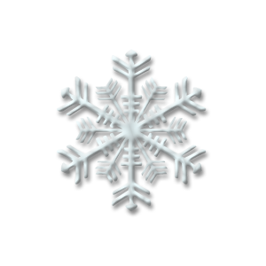 christmas snow flake two stampette avatar image